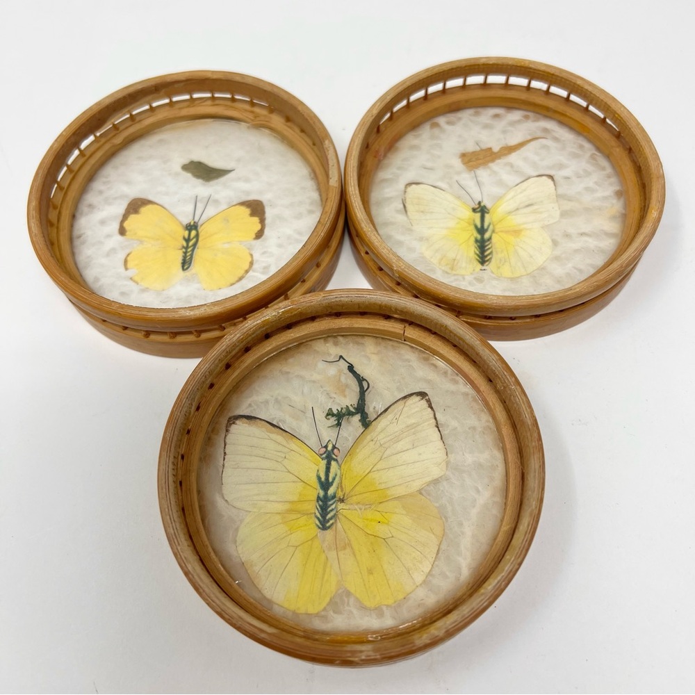 Vintage Bamboo Coasters with Yellow Pressed Butterflies Set of 3 Cottagecore